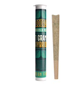 Frame 1484581860
